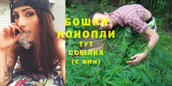 хмурый Верея
