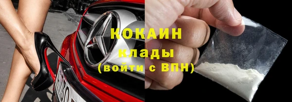 хмурый Верея