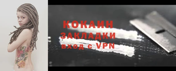 хмурый Верея