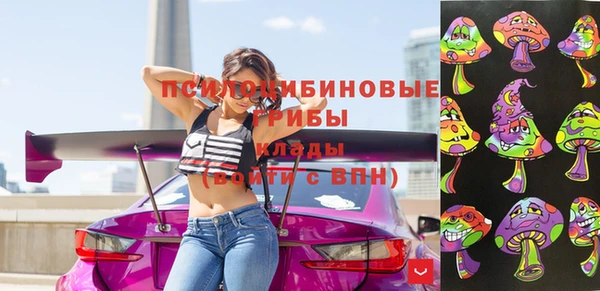 хмурый Верея