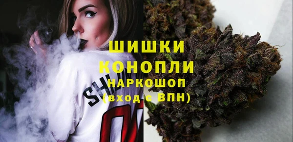 хмурый Верея