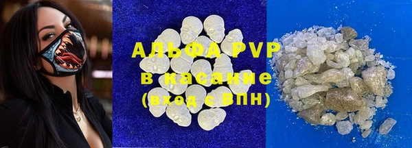 хмурый Верея