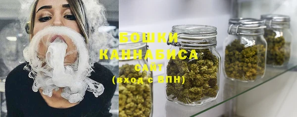 хмурый Верея